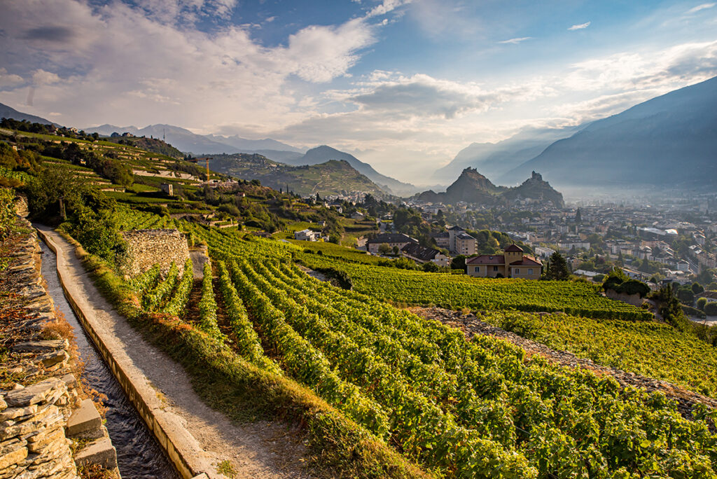 Der Weinbau prägt das Rhonetal.