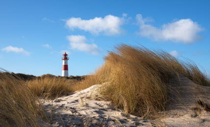 Dünen am Wattenmeer in Ostfriesland.