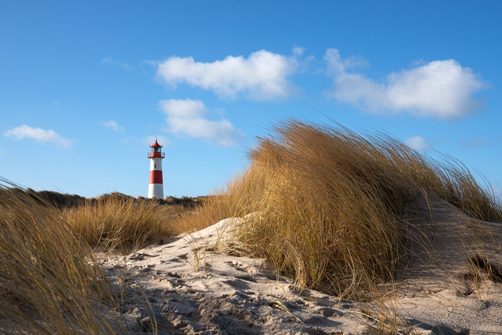 Dünen am Wattenmeer in Ostfriesland.