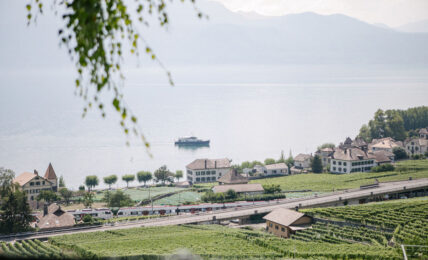 Das milde Klima in der Region Lavaux ist prädestiniert für den Weinbau.