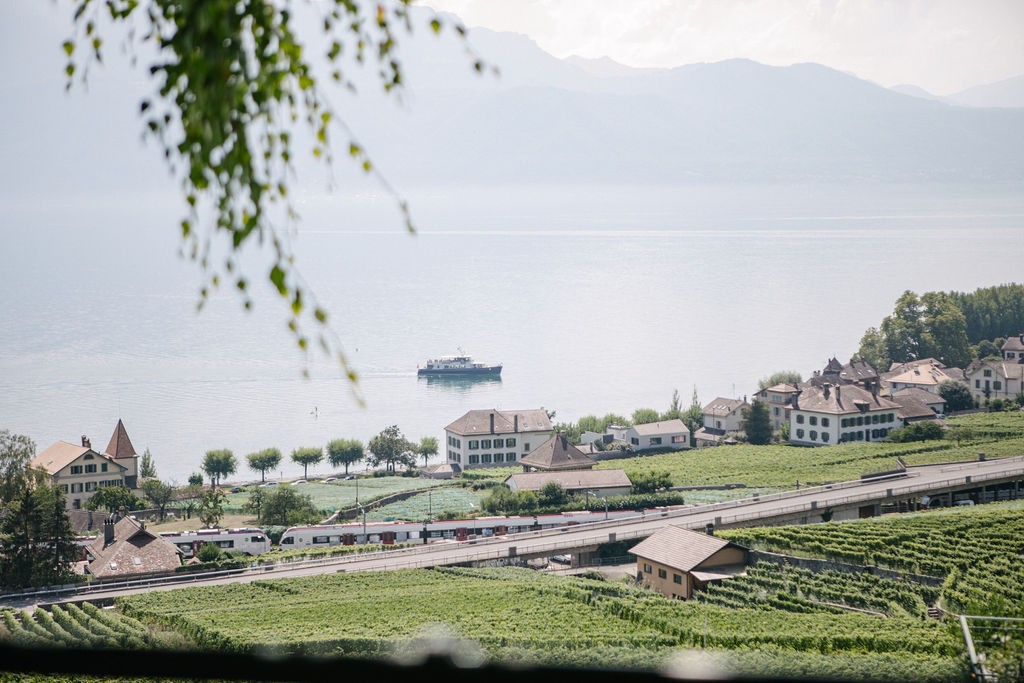 Das milde Klima in der Region Lavaux ist prädestiniert für den Weinbau.