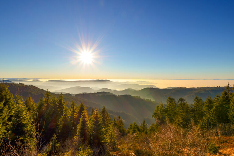AdobeStock_202460674