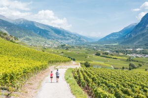 Unterwegs auf dem Weinweg in Siders.