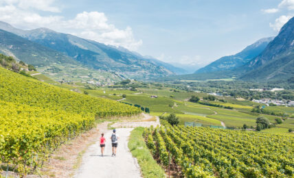Unterwegs auf dem Weinweg in Siders.