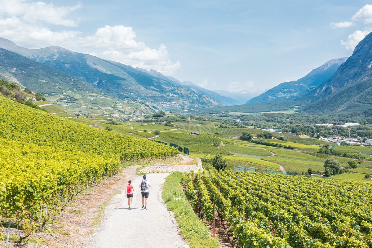Unterwegs auf dem Weinweg in Siders.