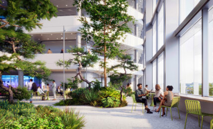 Projekt von Aplantis: Begenungszone mit hohen Bäume