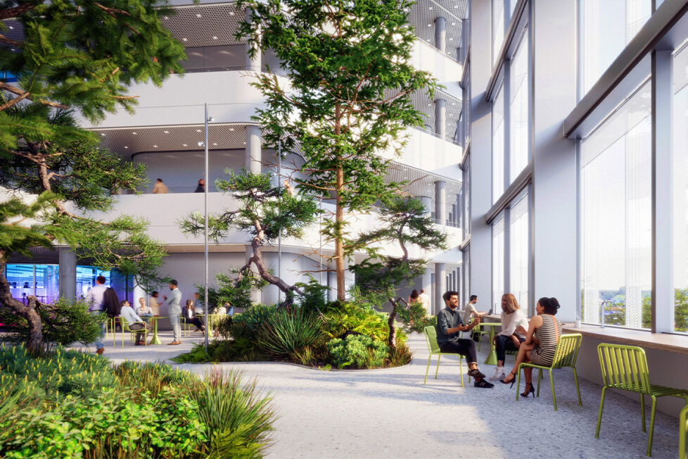 Projekt von Aplantis: Begenungszone mit hohen Bäume