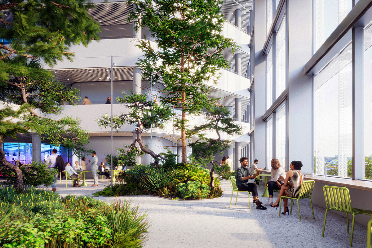 Projekt von Aplantis: Begenungszone mit hohen Bäume